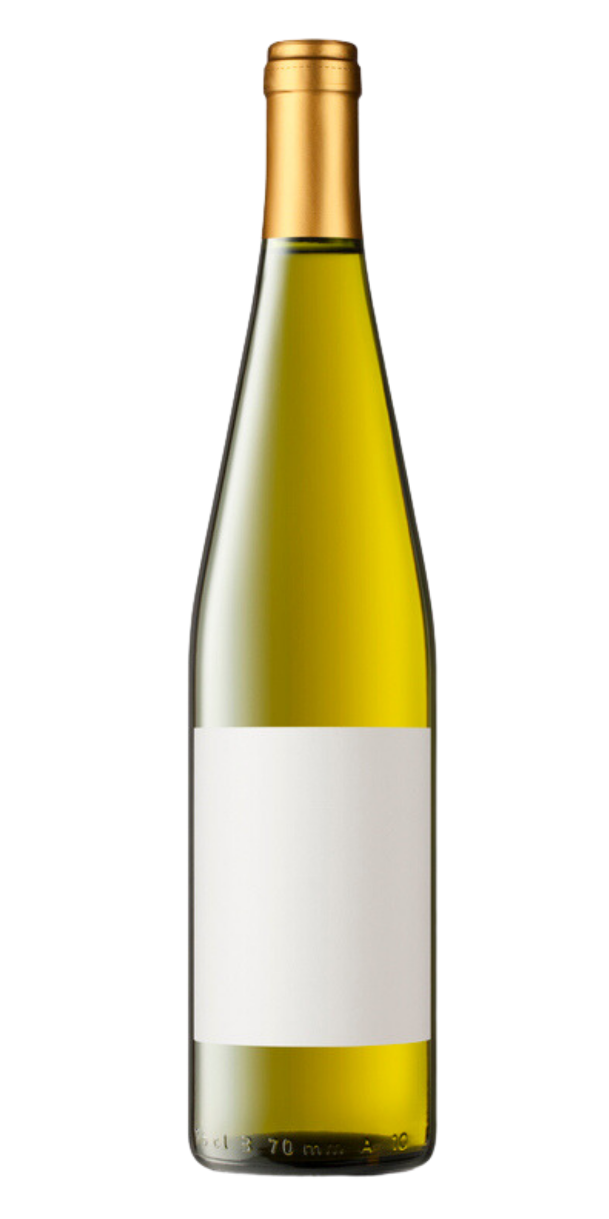 BACKERTStierkopf 2019