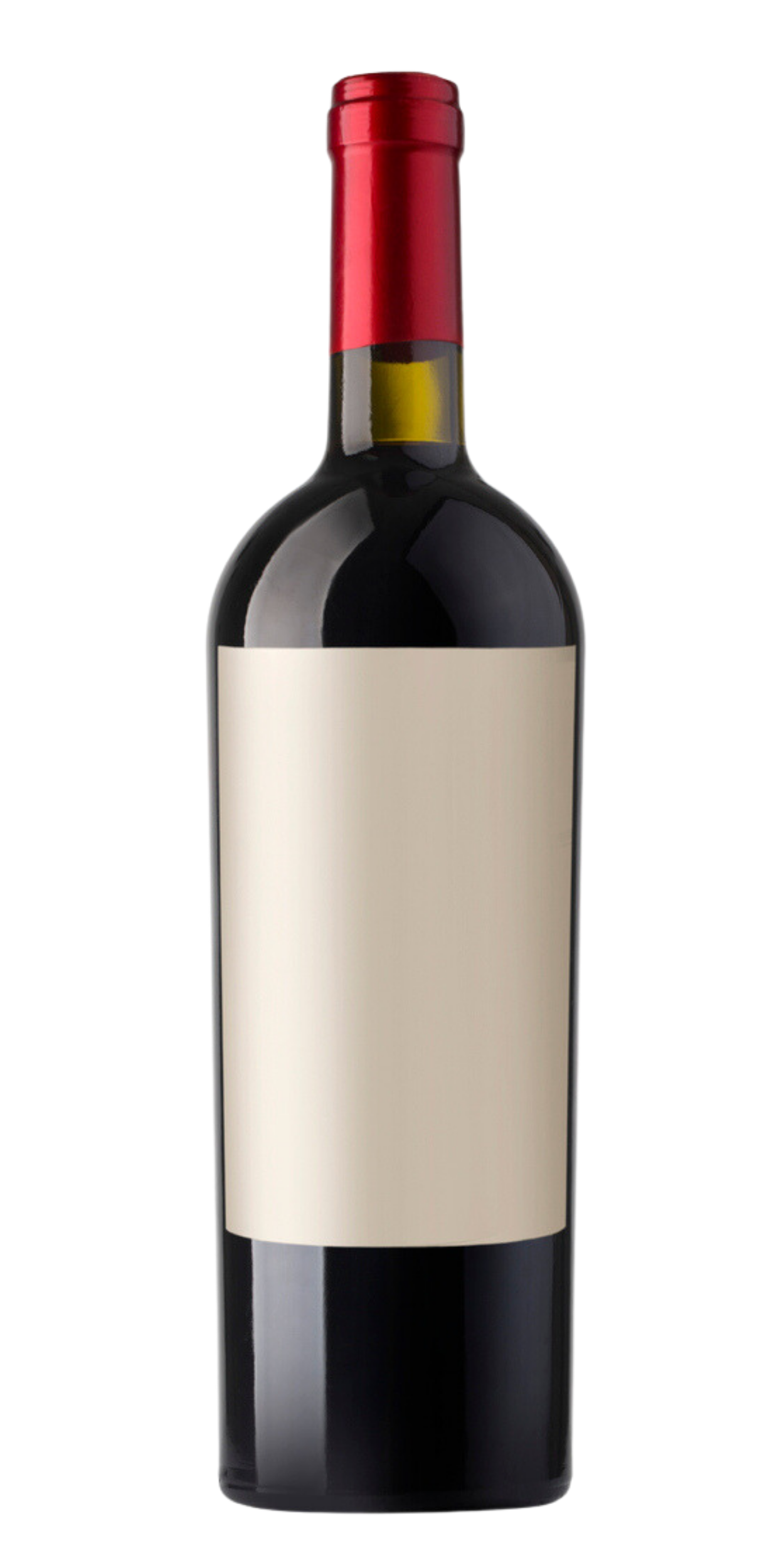 RICHARD DELAYPinot noir 1998